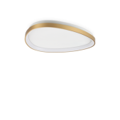 30W LED lubinis šviestuvas...