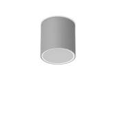 Paviršinis fasado...