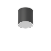 Paviršinis fasado...