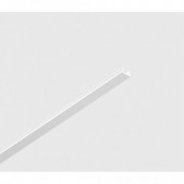 Magnetinės sistemos bėgelio...