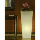7W LED šviečiantis gėlių...