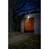 27W lauko sieninis...