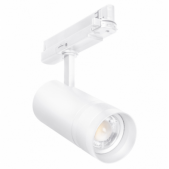 20W LED akcentinis...