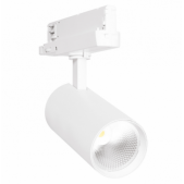 30W LED akcentinis...