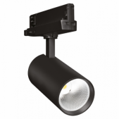 30W LED akcentinis...