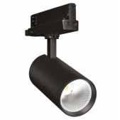 30W LED akcentinis...