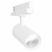 30W LED akcentinis...