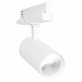 30W LED akcentinis...