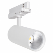 20W LED akcentinis...