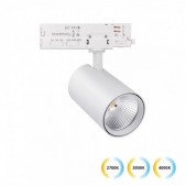30W LED akcentinis...