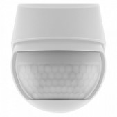 Sieninis judesio jutiklis...