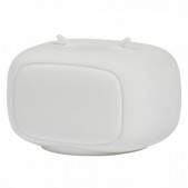 2,5W LED pastatomas...