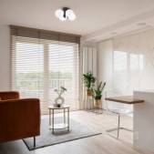 Lubinis šviestuvas GLOBE...