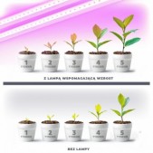 17W LED linijinis...