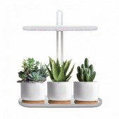 12W LED stalo šviestuvas...