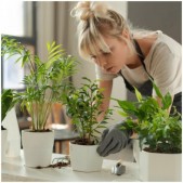 5W LED stalo šviestuvas...