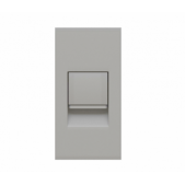 Interneto lizdas, pilkas