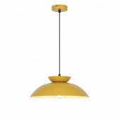 Pakabinamas šviestuvas...