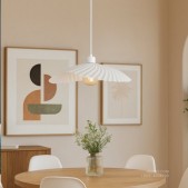 Pakabinamas šviestuvas...