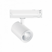 20W LED akcentinis...