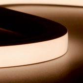 16W/m LED NEON juosta, 24V,...