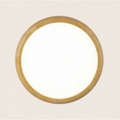 22W LED pakabinamas...