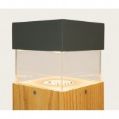 15W LED pastatomas lauko...