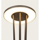 15,5W LED pastatomas lauko...