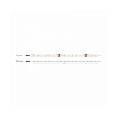 15,5W/m LED juosta, 24V,...