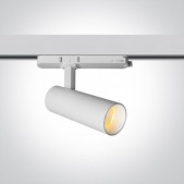 10W LED akcentinis...