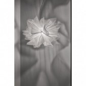 Pakabinamas šviestuvas...