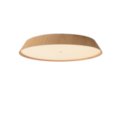 50W LED lubinis šviestuvas...