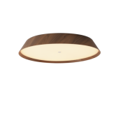 50W LED lubinis šviestuvas...