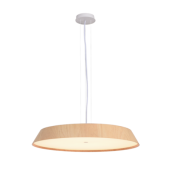 50W LED pakabinamas...
