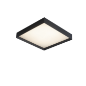 22W LED lubinis šviestuvas...