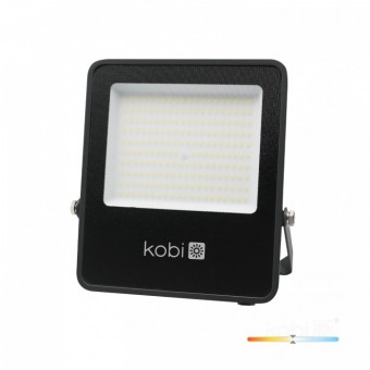 100W LED prožektorius...