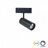 13W LED akcentinis...
