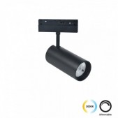 21W LED akcentinis...