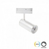 21W LED akcentinis...