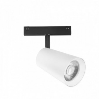 30W LED šviestuvas,...