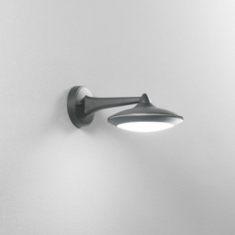 12W LED lauko sieninis...