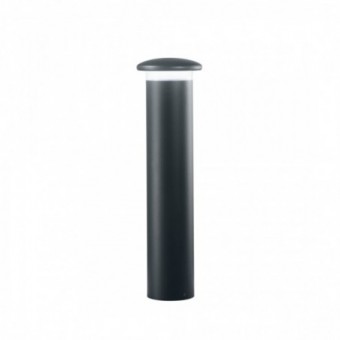 10W LED pastatomas lauko...