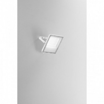 50W LED prožektorius ESUS,...