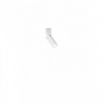 Paviršinis akcentinis...