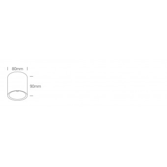 12W LED lubinis...