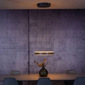50W LED pakabinamas...
