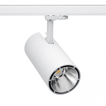 31W LED akcentinis...