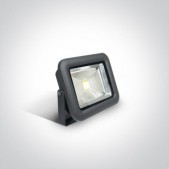 10W LED prožektorius,...