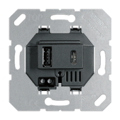 USB lizdas JUNG USB15CASW,...
