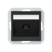 Kompiuterio lizdas, 1...